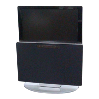 Preview: Sony TAV-L1