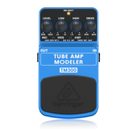 Preview: Behringer TM300