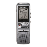 Preview: Sony ICD-BX800