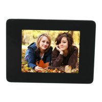 Preview: Sony DPF-D830