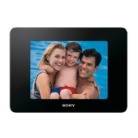 Preview: Sony DPF-D830