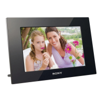 Preview: Sony DPF-D1010