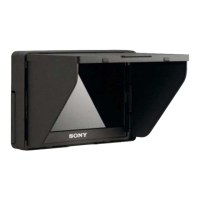 Preview: Sony CLM-V55