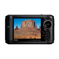 Preview: Epson P-5000