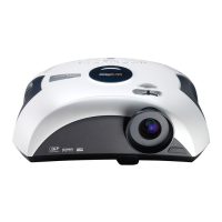 Preview: Optoma DV11