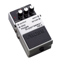 Preview: Boss NS-2