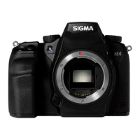 Preview: Sigma SD1
