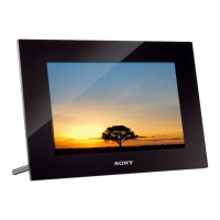 Preview: Sony DPF-XR100