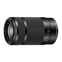 Preview: Sony SEL55210