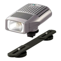 Preview: Sony HVL-10NH