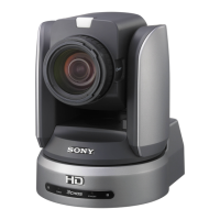 Preview: Sony BRC-H900