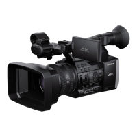 Preview: Sony FDR-AX1