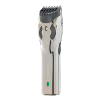 Preview: Remington BHT2000