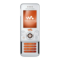 Preview: Sony Ericsson W580i