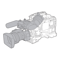 Preview: Panasonic AJ-HPX3700G
