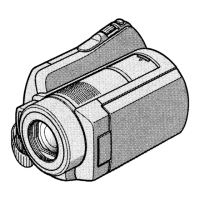 Preview: Sony DCR-SR220