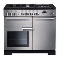 Preview: Professional Deluxe 100 Dual Fuel
