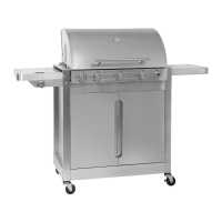 Preview: Barbecook Brahma 4.2
