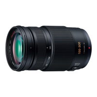 Preview: Panasonic H-FS100300