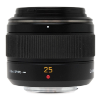 Preview: Panasonic H-X025