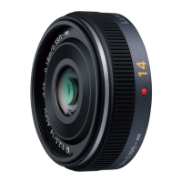 Preview: Panasonic H-H014