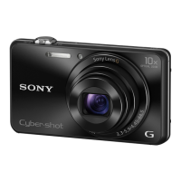 Preview: Sony CyberShot dsc-wx220
