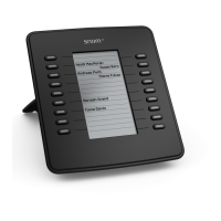 Preview: Snom D7