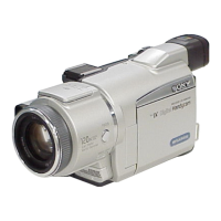 Preview: Sony DCR-TRV60