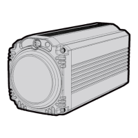 Preview: Datavideo BC-80