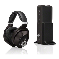 Preview: Sennheiser RS 185