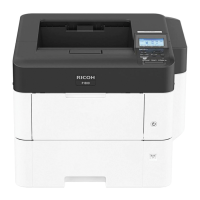 Preview: Ricoh P 800