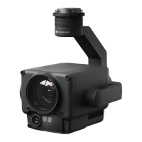 Preview: dji ZENMUSE H20
