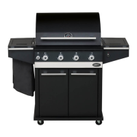 Preview: BORETTI IBRIDO