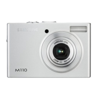 Preview: Samsung M110