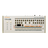 Preview: Roland TR-09