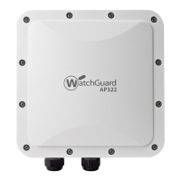 Preview: Watchguard AP322