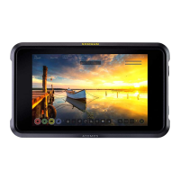 Preview: Atomos SHOGUN CONNECT