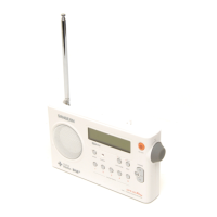 Preview: Sangean DPR-99+
