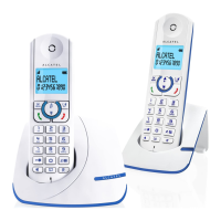 Preview: Alcatel F380-S