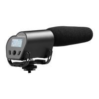 Preview: Saramonic Vmic Recorder