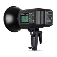 Preview: Godox AD600