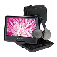 Preview: Audiovox DS9343TPK