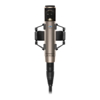 Preview: Sennheiser MKH 800 Twin