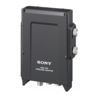 Preview: Sony DWA-01D