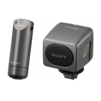 Preview: Sony ECM-HW2