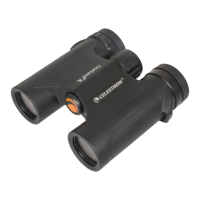 Preview: Celestron VistaPix 8x22