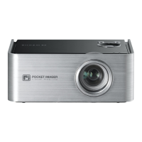 Preview: Samsung SP-P300ME