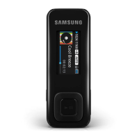 Preview: Samsung YP-F3AL