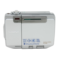 Preview: Olympus IR-500