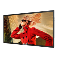 Preview: ViewSonic CDP6530
